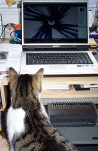 Katze und Computer