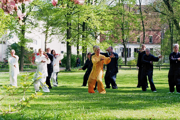 tai chi peking form 3