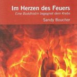 Sandy Boucher Im Herzen des Feuers