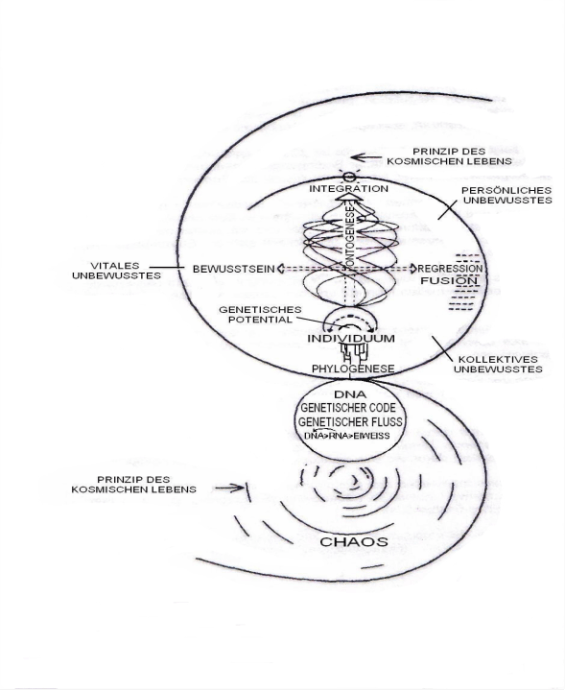 Das Theoretische Modell 